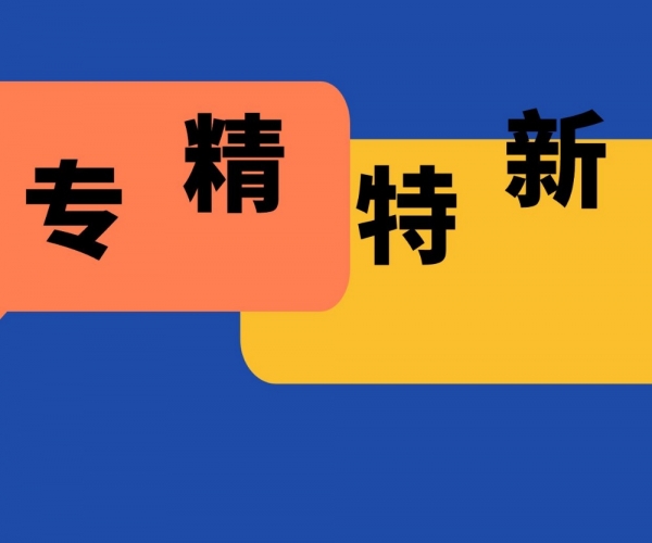 热烈：：：亟鹑衣饰、特欣织造、优佳金属荣获“浙江省专精特新”企业称呼